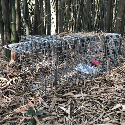 Rat Trap Cage Hot Sale Live Cat Rabbit Cage Traps Cage Supplier